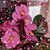 Wendy Gianfrancesco's profile image