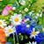 Michelle Busby's profile image