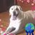 Lisette Mooney's profile image