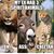 Sheila Belisle's profile image