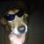 James Daniels's profile image