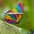 Carol J Harris's profile image