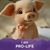 Nancy Adams's profile image