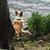 Stephanie Walp's profile image