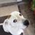 Patricia Darby's profile image
