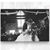 Katharine Middleton's profile image