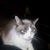 Tawna Crawford Richard's profile image