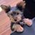 Dawn Walker's profile image