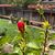 Sunita Bhan's profile image