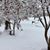 Cheri Francis Beck's profile image
