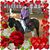 Vici Rotondi Jorgensen Prodromitis's profile image