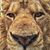 Mauricio Alejandro M. M's profile image