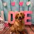 Ann Capitolo Cravey's profile image