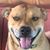 Greg Smith's profile image