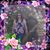 Cathy Cox's profile image