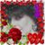Jacquelin A. Lavallee's profile image