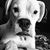 Jodie Warsow Kuderik's profile image