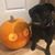Nicole Hughes's profile image