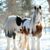 Janie Watson's profile image
