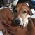 David Brett Martin's profile image