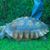 Glenn E Henrikson's profile image