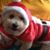 Melissa Matis's profile image