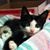 Lynda K Denney's profile image