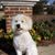 Charles Lum's profile image