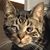 Roni Lile's profile image