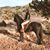 Kimberly Elizabeth Paws's profile image