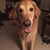 Pam Fredericks Bouchoux's profile image