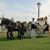 MaryAnn Arnold's profile image
