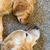 Jill Carr-Stidham's profile image