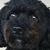 Sylvia Whalen's profile image