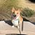 Linda Sisco's profile image
