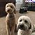 Betsy Tackett Adkins's profile image