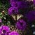 Nancy Thompson Neal's profile image