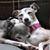 Kim Wisner's profile image