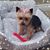 Sandy Bailey's profile image