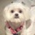 Teresa A Conrique's profile image