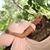 Sara Londono's profile image