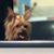 Sandra Juarez Miranda's profile image