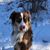 Heather Frye's profile image