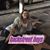 Jennifer L. Robinson's profile image