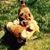 Kimmy Henglefelt's profile image