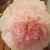 Jennifer Reed's profile image