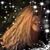 Carole Blossom's profile image