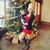 Stephanie Sherfield's profile image