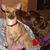 Mary Peterlick-Schroepfer's profile image