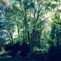 Mary Plath's profile image